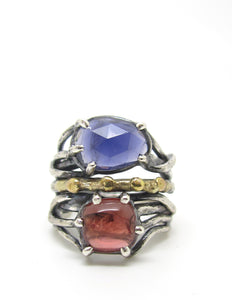 Iolite and Garnet Dressed in Gold Ring