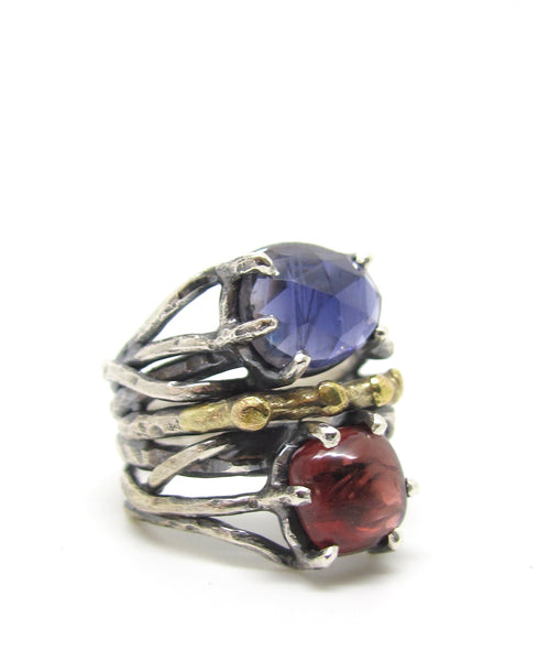 Iolite and Garnet Dressed in Gold Ring