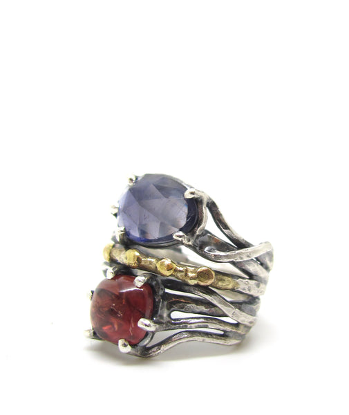 Iolite and Garnet Dressed in Gold Ring