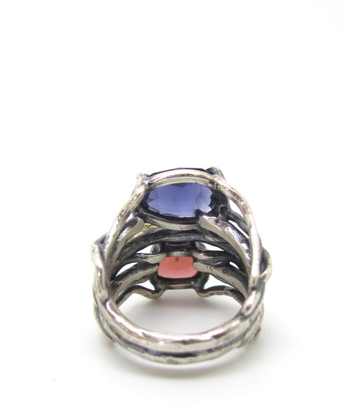 Iolite and Garnet Dressed in Gold Ring